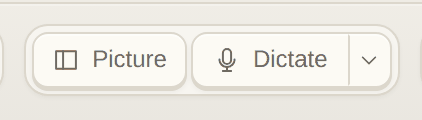 Insert: a picture, or dictation.